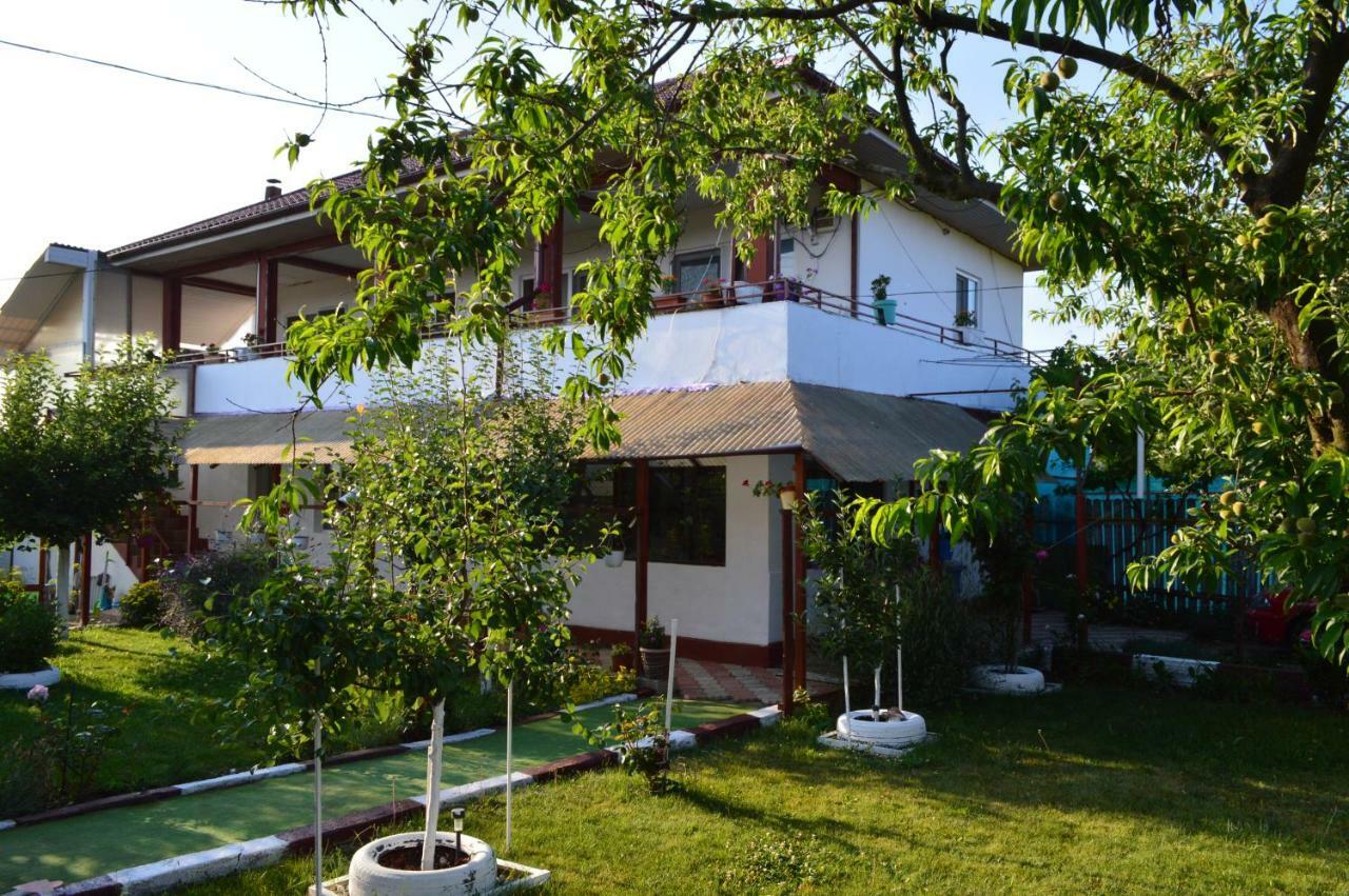 科斯蒂内什蒂 Casa Gia酒店 外观 照片